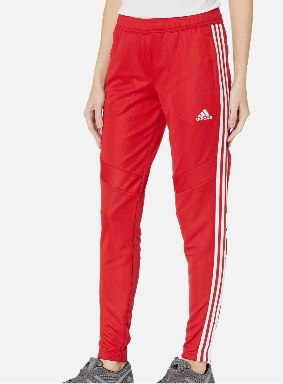 ADIDAS Tiro19 Training Active Pants in Red // S